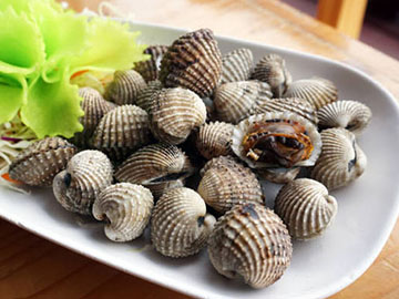 Blood Clam