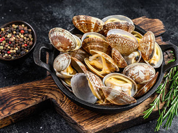 Yellow Clam